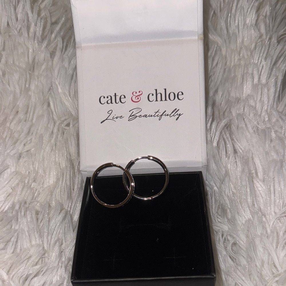 Cate & Chloe Silver Earrings - Picture 3 of 3